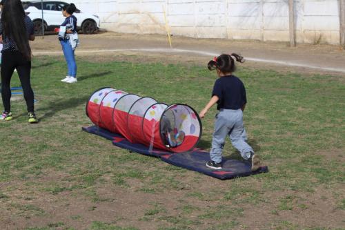 IMG 2539