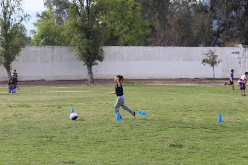 IMG 2594