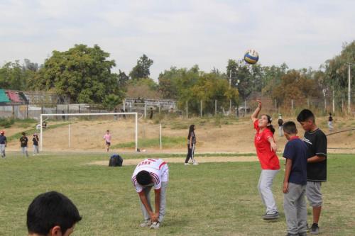 IMG 2843