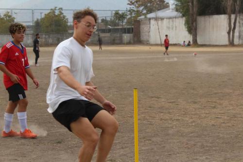 IMG 2963