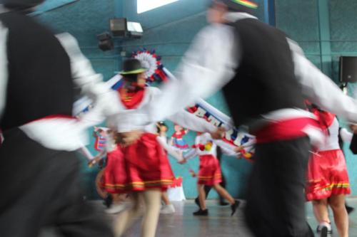 IMG 3255