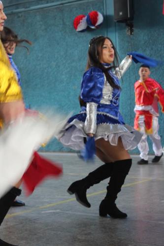 IMG 4227
