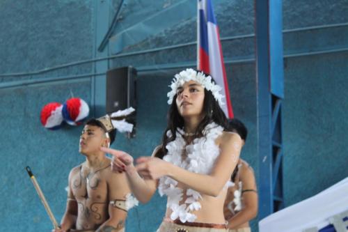 IMG 4501