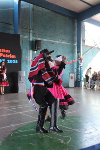 IMG 5549