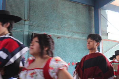 IMG 6577