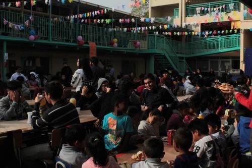 dia conv escolar 080