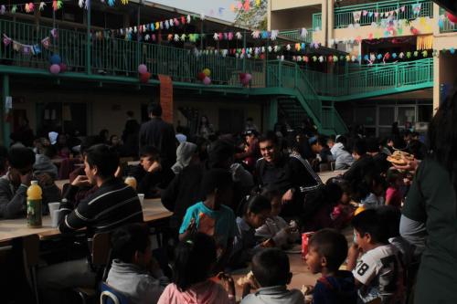 dia conv escolar 081