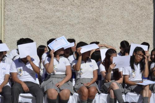 licenciatura 1066