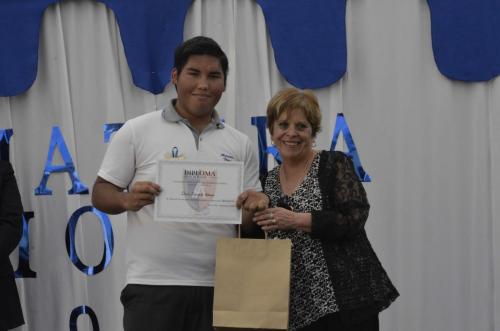 licenciatura 1113